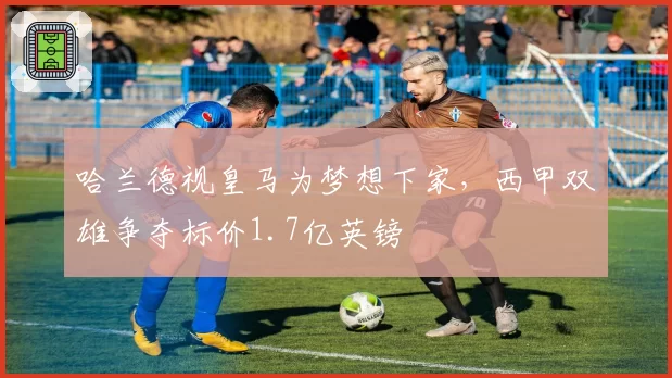 哈兰德视皇马为梦想下家，西甲双雄争夺标价1.7亿英镑